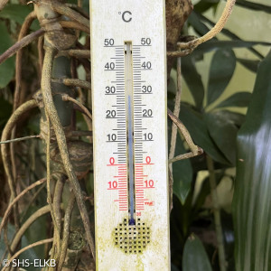 Die Temperaturanzeige im Gewächshaus zeigt eine Lufttemperatur von 30 Grad Celsius an